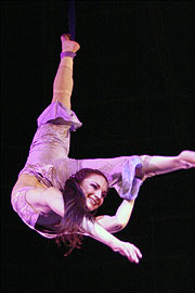 Veronica an den Strapaten (Foto: MartiN Schmitz)